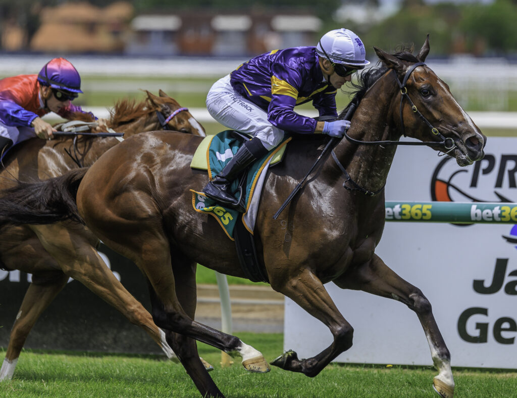Geelong Race Day - | Just Horse Racing