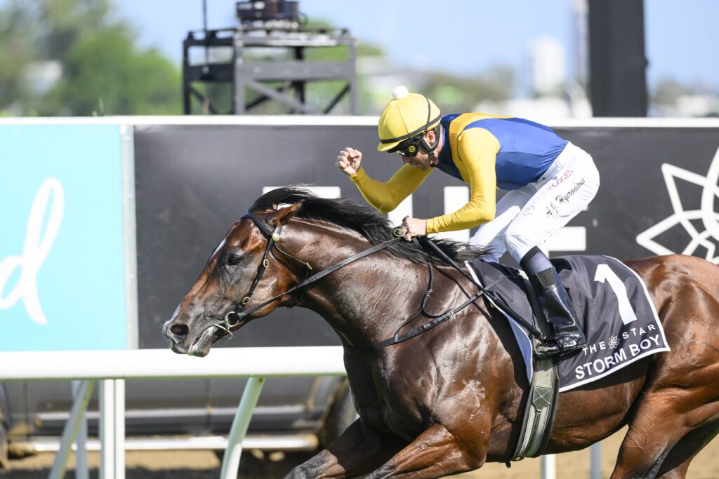 Race 8 Storm Boy_DSC_4638.jpg | Just Horse Racing
