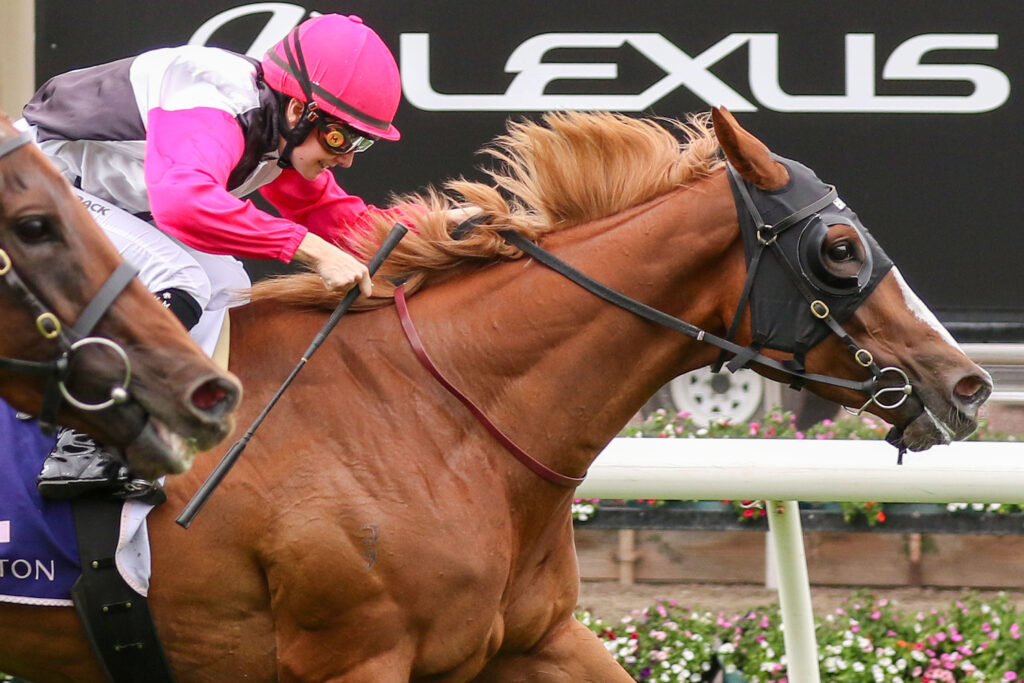 Southern Fire_20-01-2024_WIN_Flemington_3__370 | Just Horse Racing