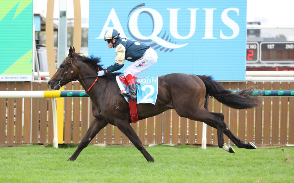 Spywire | Just Horse Racing