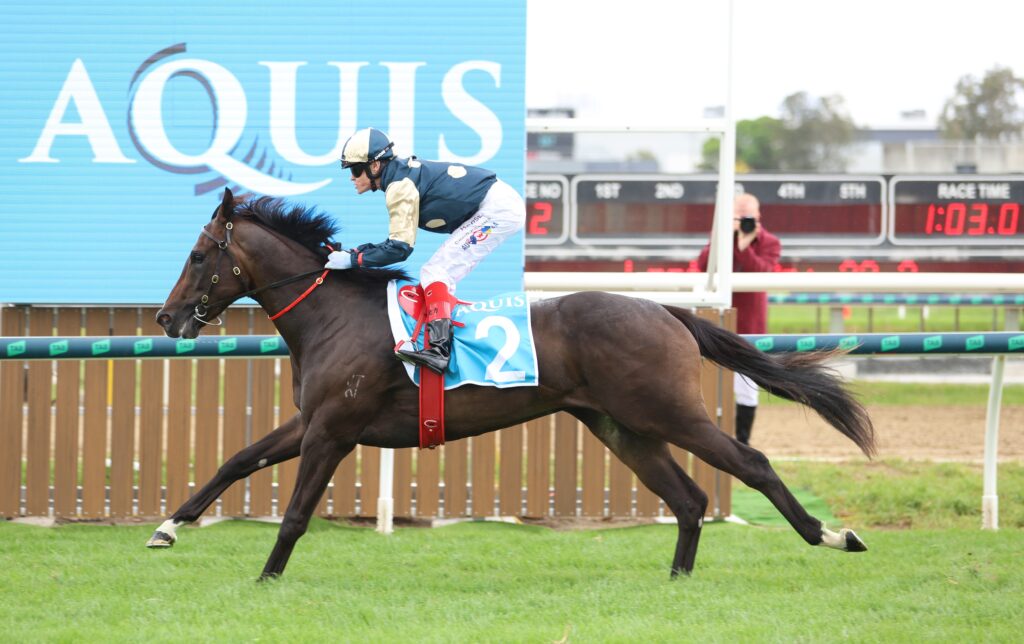 BIG BET: Punter has $40,000 on Magic Millions Classic
