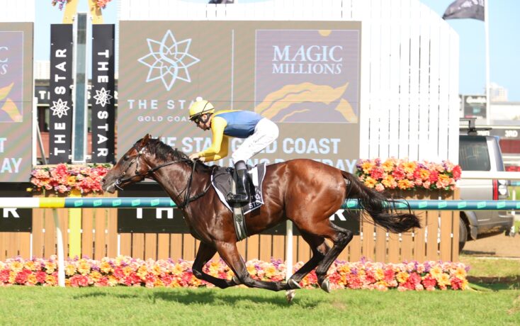 Storm Boy - Magic Millions Classic winner