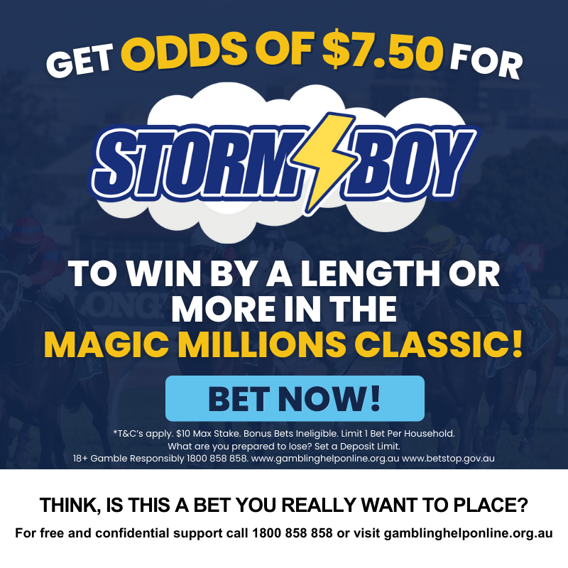 Storm Boy Bet Special | Just Horse Racing