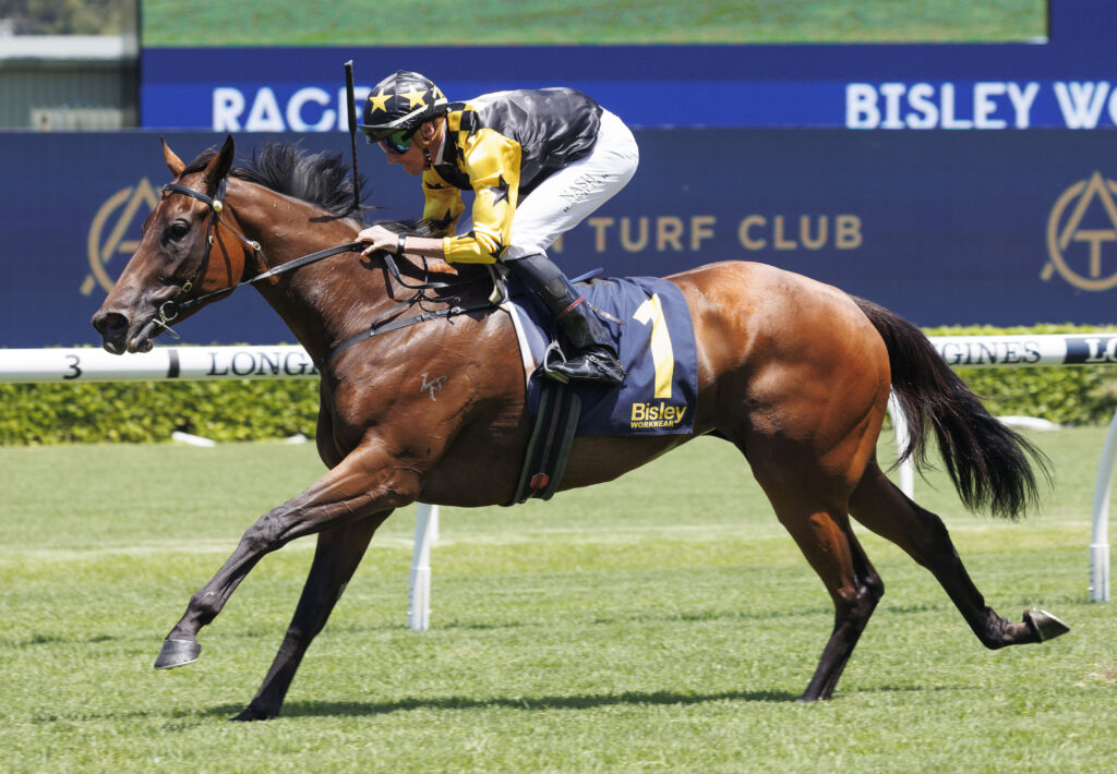 17/8/2024 Horse Racing Tips and Best Bets – Rosehill, The Rosebud day