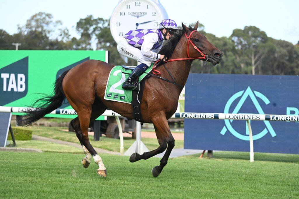 Testator Silens 130123 6967 | Just Horse Racing