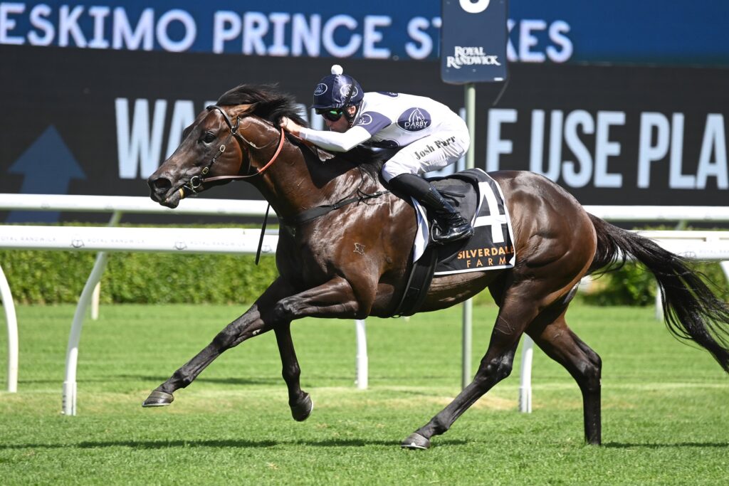 Caballus 1002024 5017 | Just Horse Racing