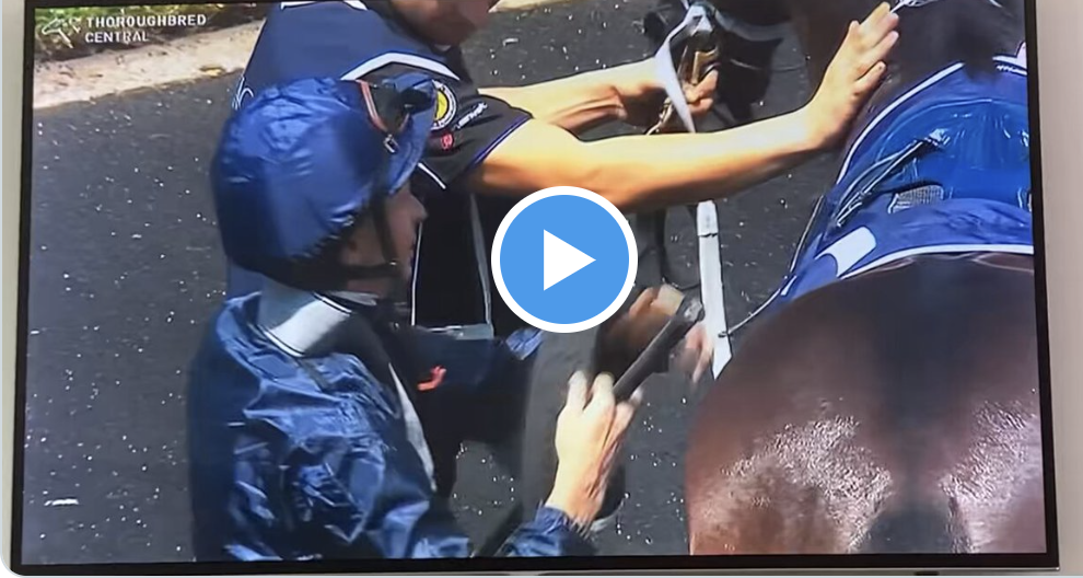 Watch 📺 Coolmore’s Tom Magnier gives strapper a sling
