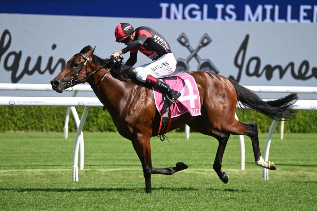 Fully Lit 1002024 5212 | Just Horse Racing
