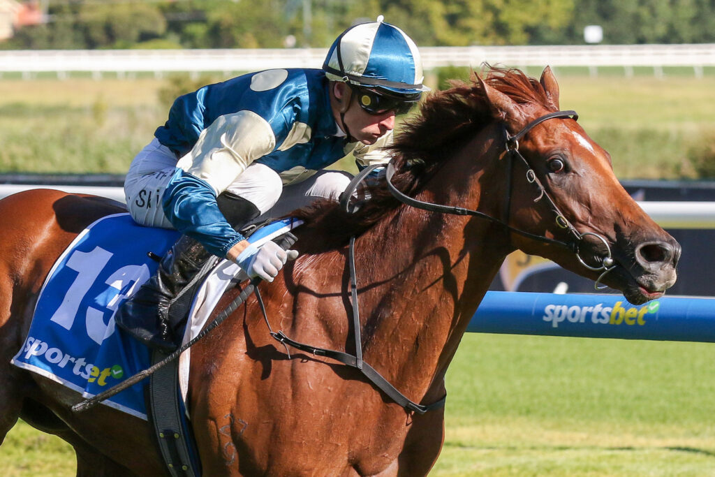 JIMMYSSTAR 0V9A1351 | Just Horse Racing