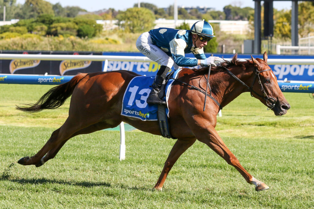 JIMMYSSTAR 0V9A1354 | Just Horse Racing