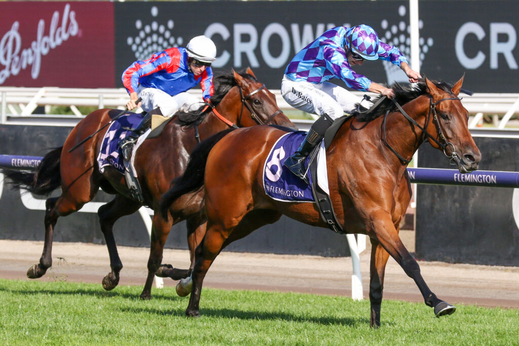 Jennilala_17-02-2024_WIN_Flemington_10__1615 | Just Horse Racing