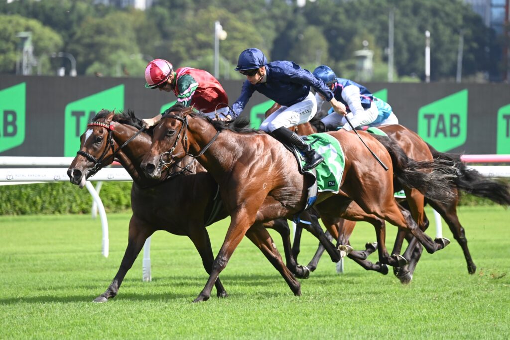 Kimochi 1702024 6777 | Just Horse Racing
