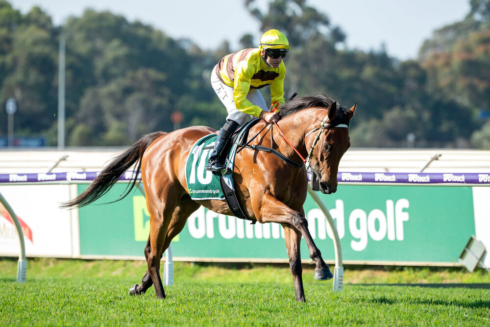 Northerly-Stakes-Day-Trix-Of-The-Trade_03-12-2022_WIN_Ascot_0__43_1000x667px-1 | Just Horse Racing
