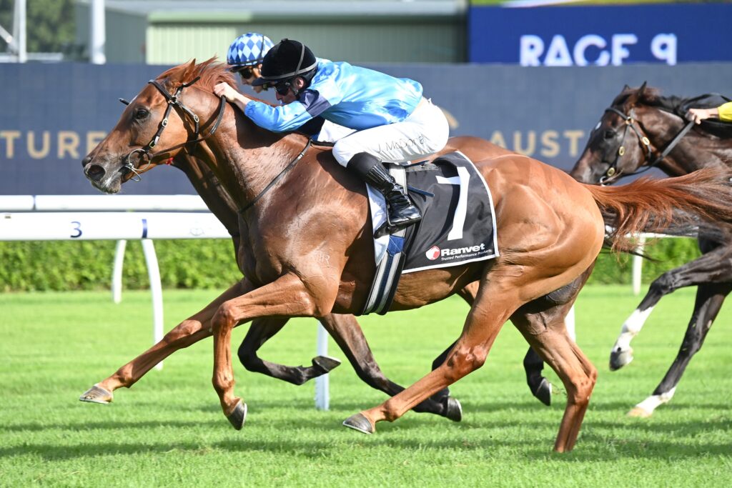 Redstone Well 1702024 6843 | Just Horse Racing