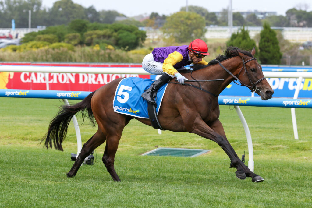 Sassy Boom,Angus Armanasco Stakes,Group 2_24-02-2024_WIN_Caulfield_3__1830 | Just Horse Racing