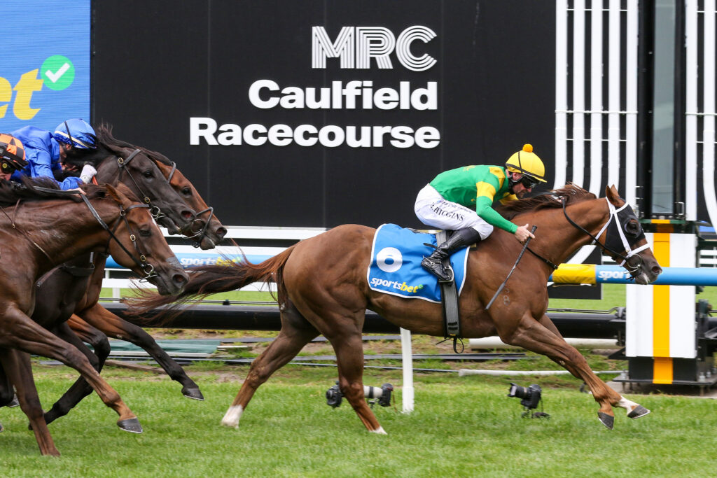 Twin Perfection_24-02-2024_WIN_Caulfield_2__1727 | Just Horse Racing