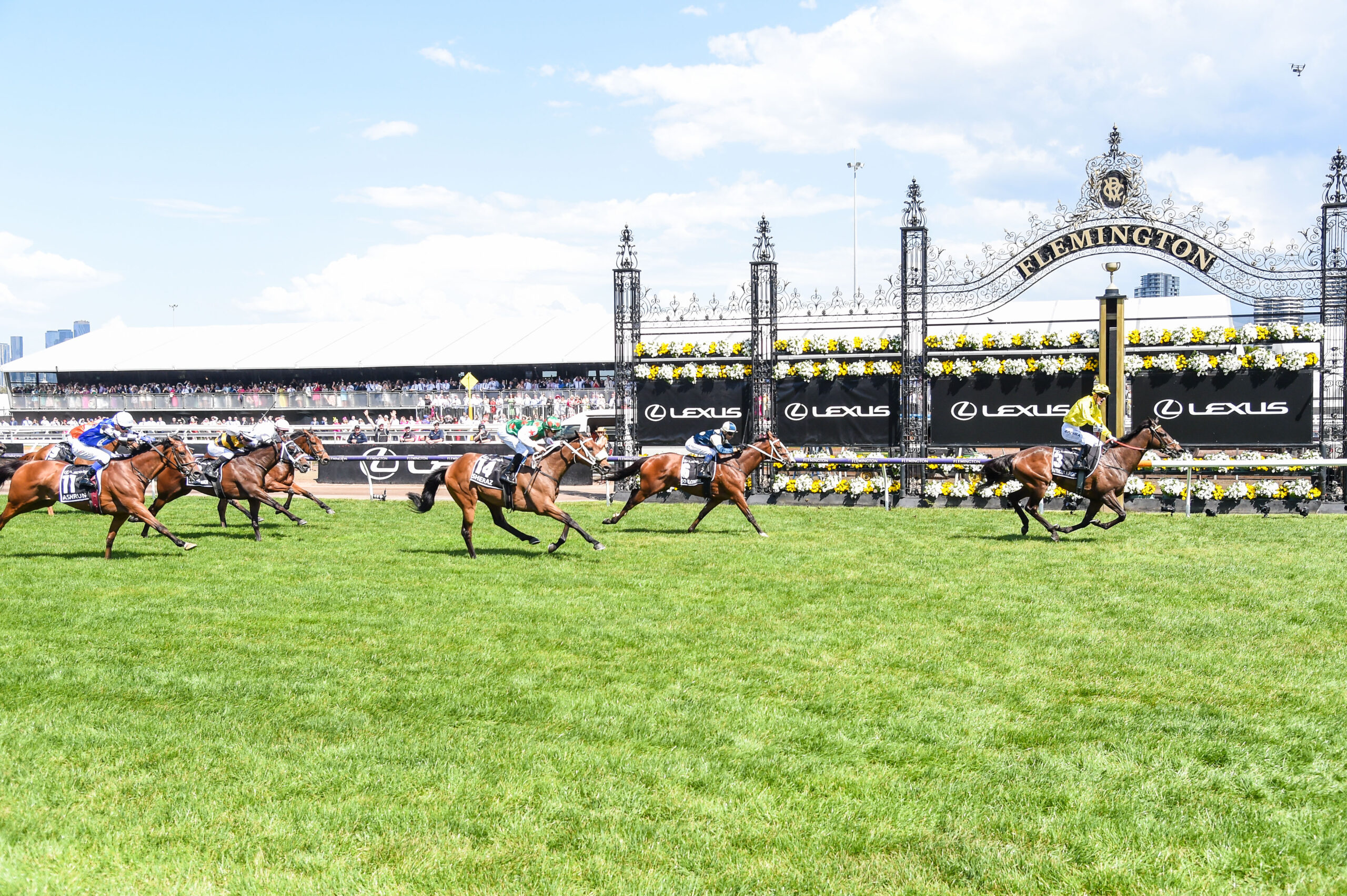 Victoria Samba Racing Racing Victoria announces Spring Carnival schedule | Just Horse Racing