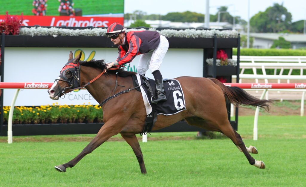 A Deel of Humour 4 | Just Horse Racing