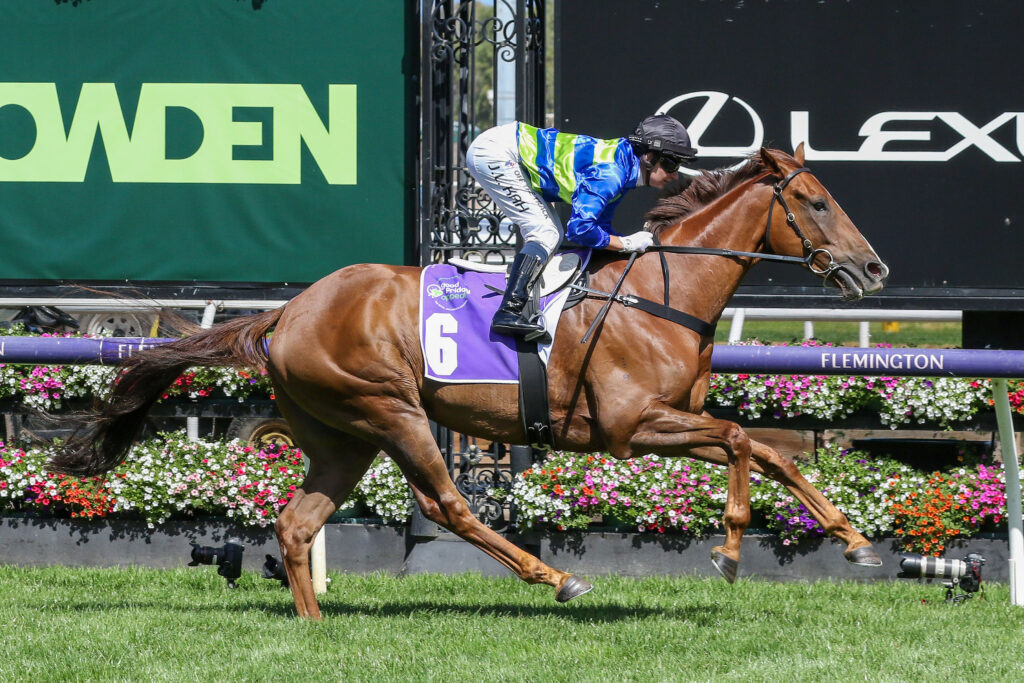 Another Wil_02-03-2024_WIN_Flemington_6__841 | Just Horse Racing