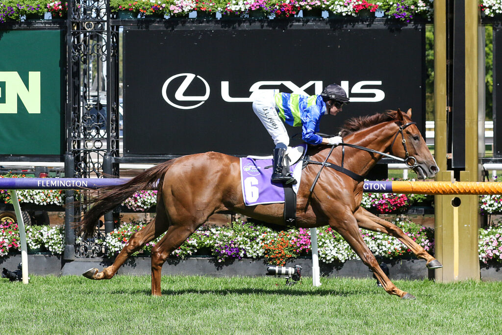 Another Wil_02-03-2024_WIN_Flemington_6__842 | Just Horse Racing