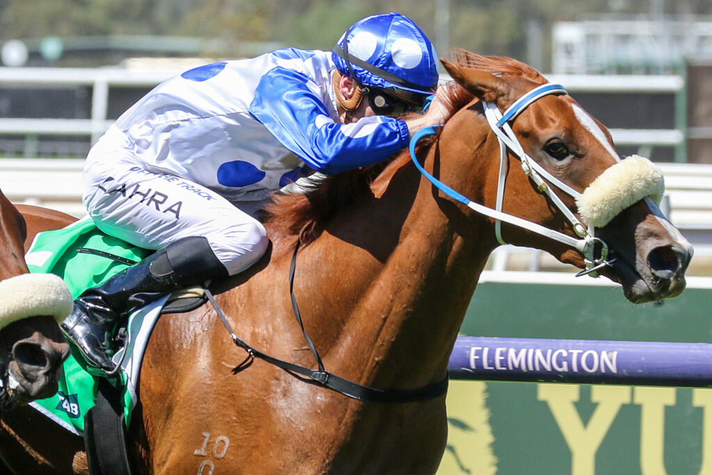 Autumn Angel,Kewney Stakes,Group 2_09-03-2024_WIN_Flemington_6__616 | Just Horse Racing