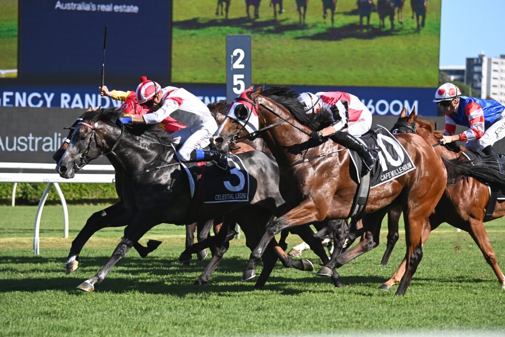 Celestial Legend 0903024 2905 | Just Horse Racing