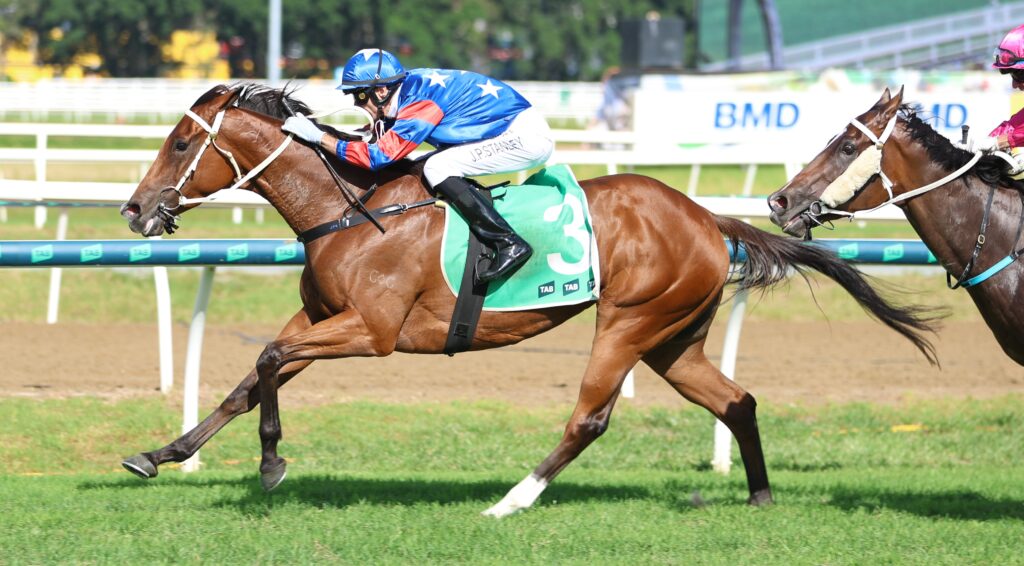 Chinny Boom 5 | Just Horse Racing
