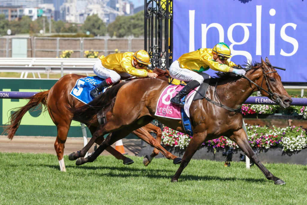 Estriella,Inglis Sprint_02-03-2024_WIN_Flemington_7__950 | Just Horse Racing