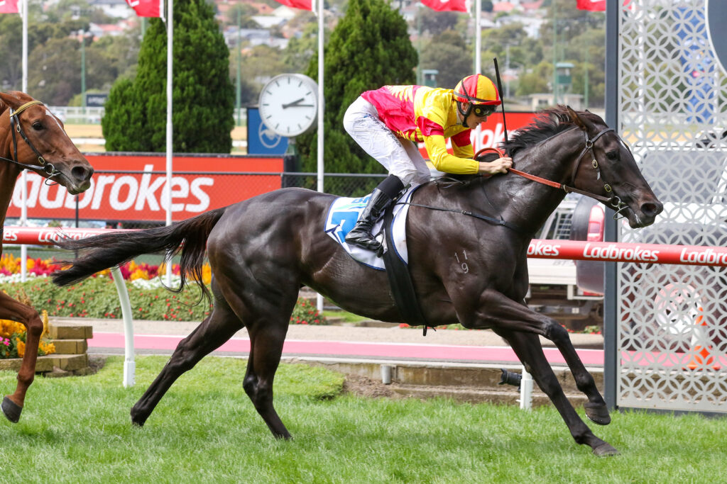 Eternal Flame (5) | Just Horse Racing