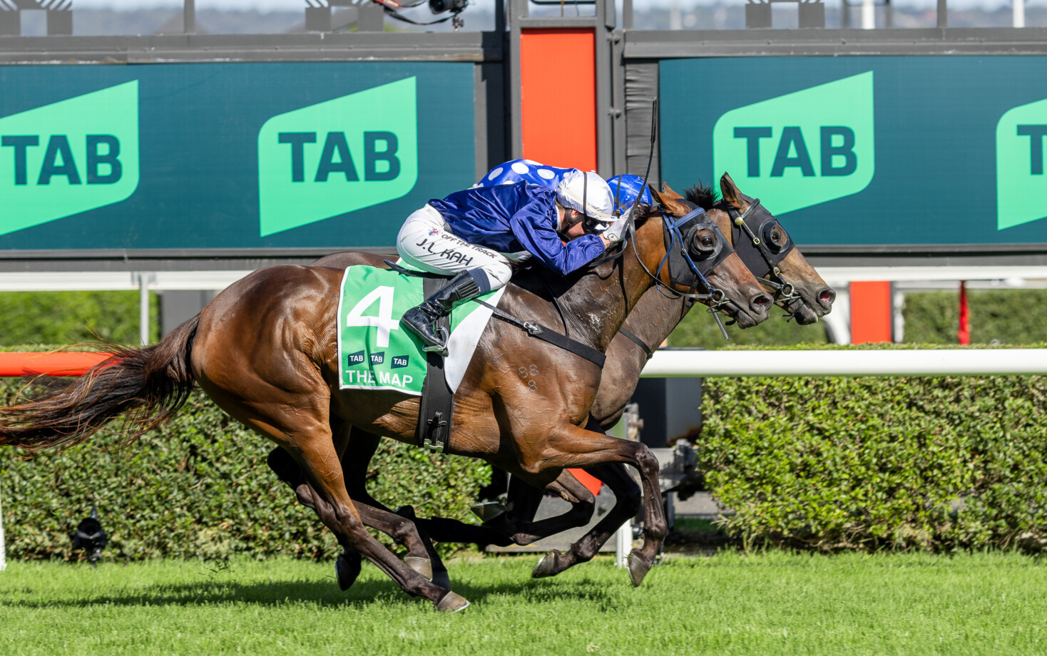Adelaide Cup 2025 Field, Tips, Horses, Odds, Results