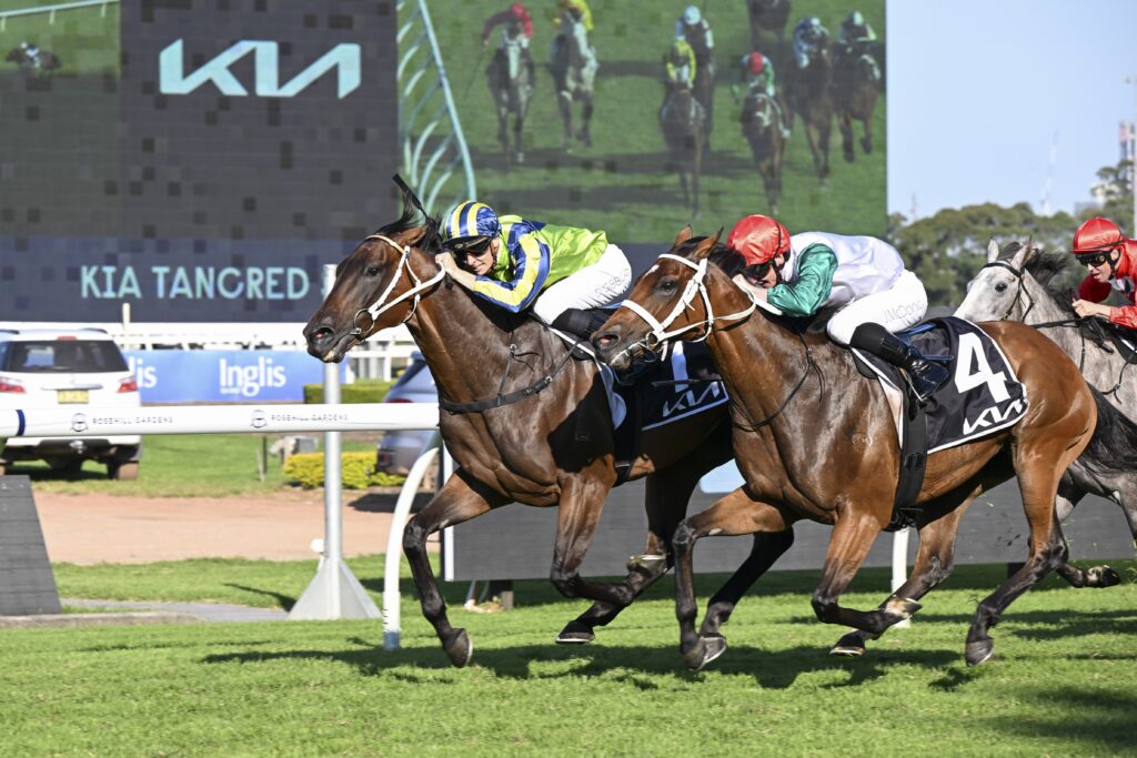 DSC_3192KALAPOUR,Z_8_RH_30032024__C1359 | Just Horse Racing