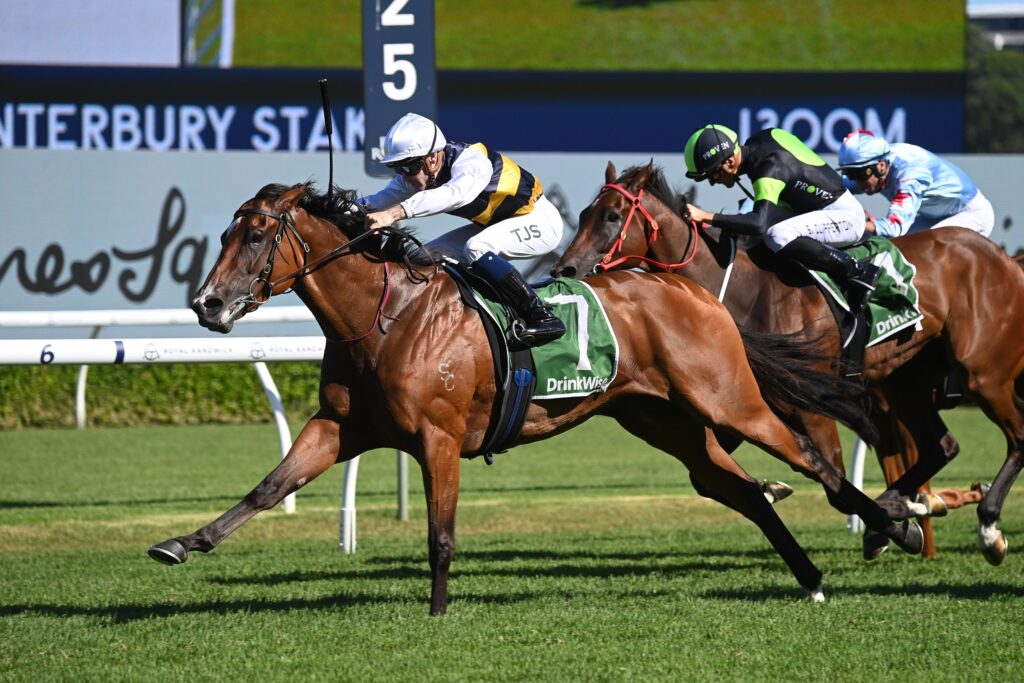 Lady Laguna 0903024 2690 | Just Horse Racing
