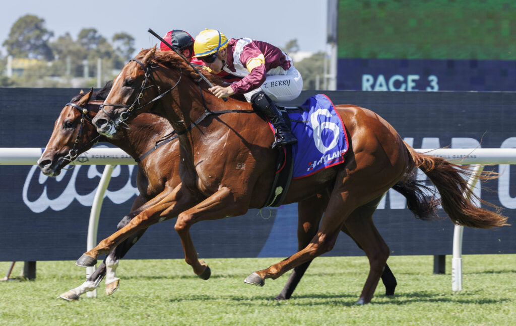 Linebacker-20240330-8328 | Just Horse Racing