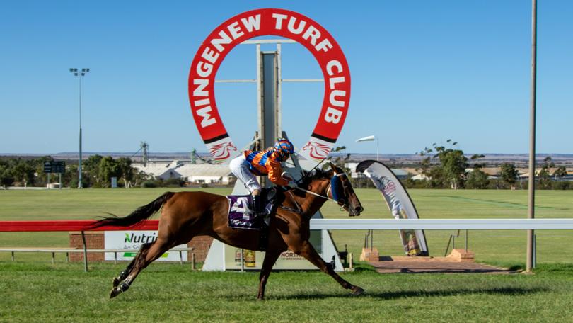 Plead The Fifth crosses the line in first. | Just Horse Racing