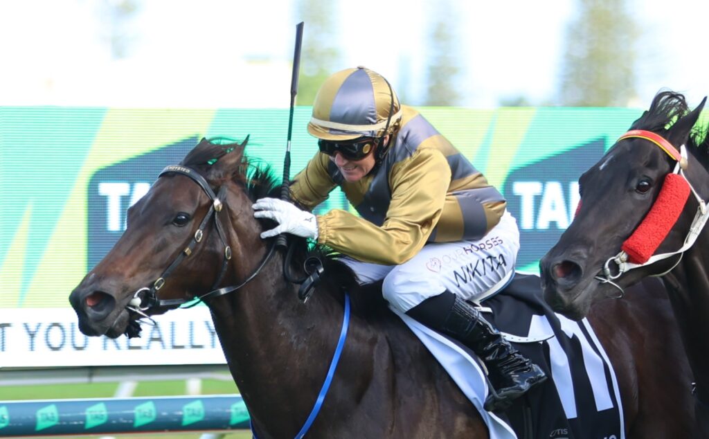 Party For Two 3 | Just Horse Racing