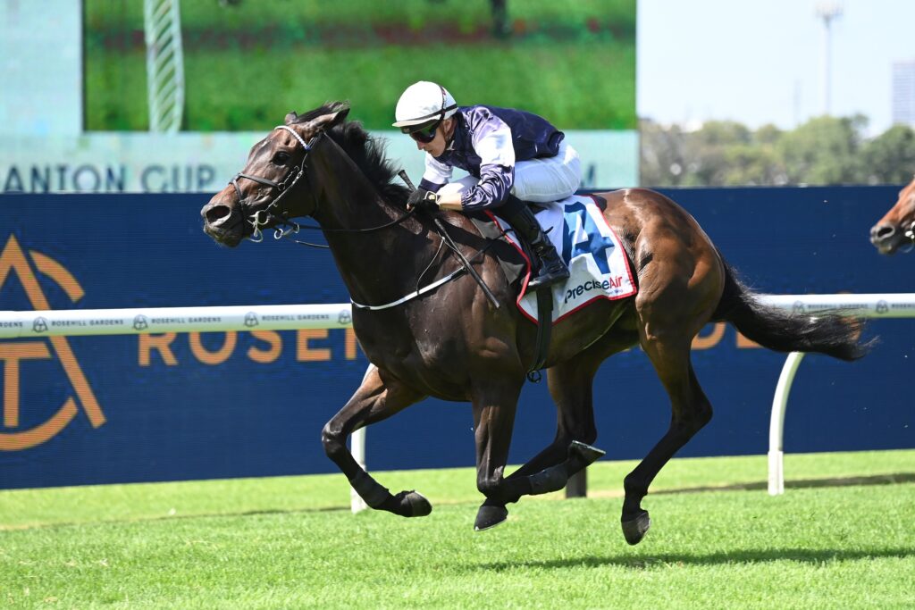 Post Impressionist 2303024 7414 | Just Horse Racing