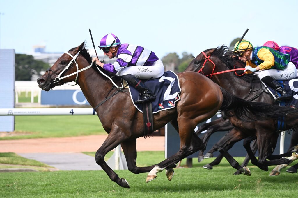 Riff Rocket dies following colic surgery complications | Just Horse Racing