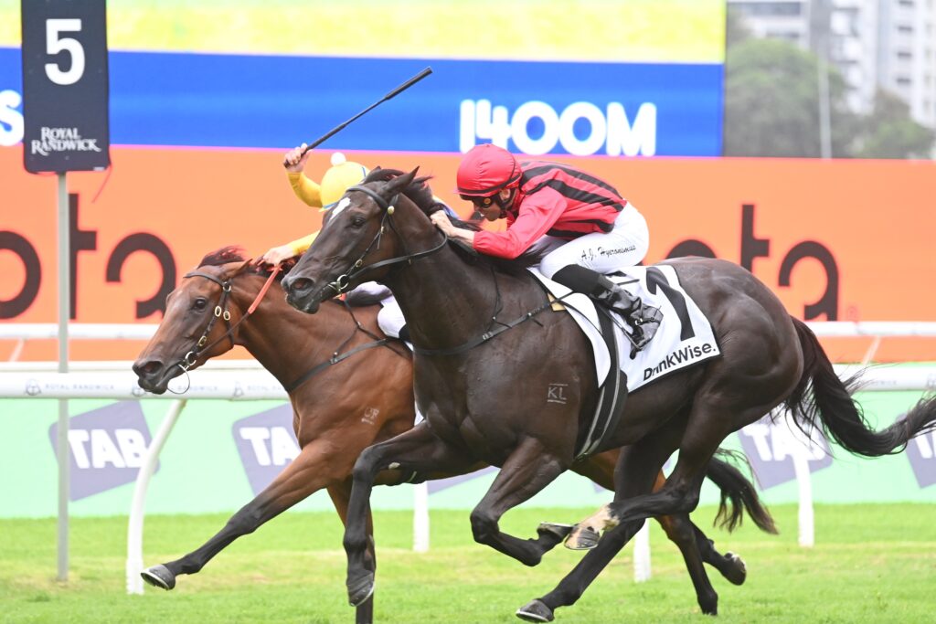 Tropical Squall 0203024 1257 | Just Horse Racing