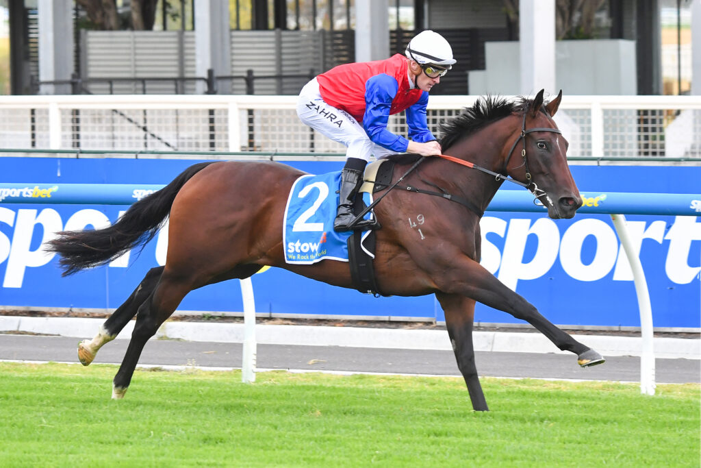 Unbeaten filly Ameena short odds in the TBV Thoroughbred Breeders Stakes