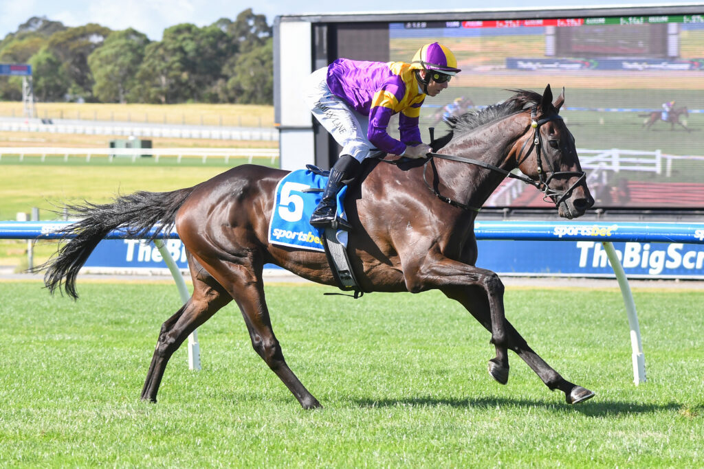 /r3/ | Just Horse Racing
