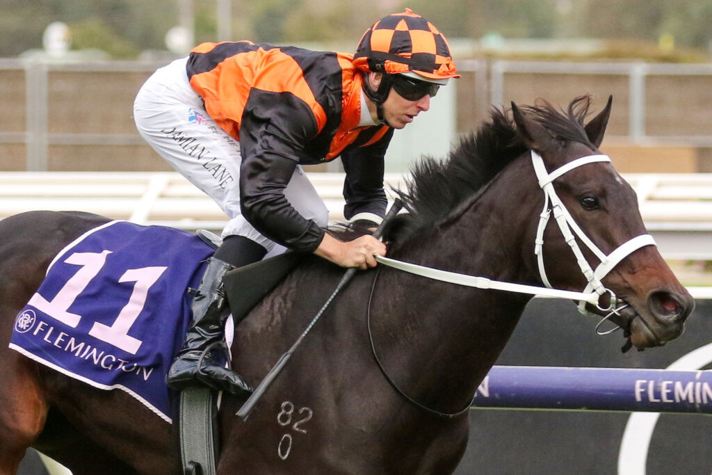AHURIRI 0V9A1468 | Just Horse Racing