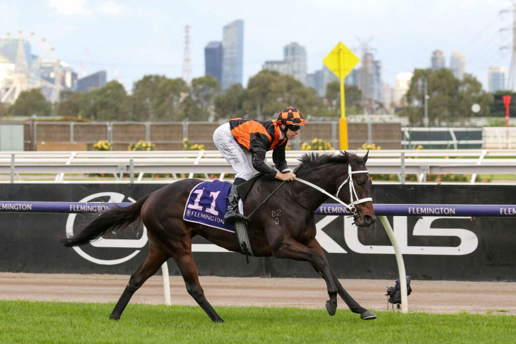 AHURIRI 0V9A1470 | Just Horse Racing