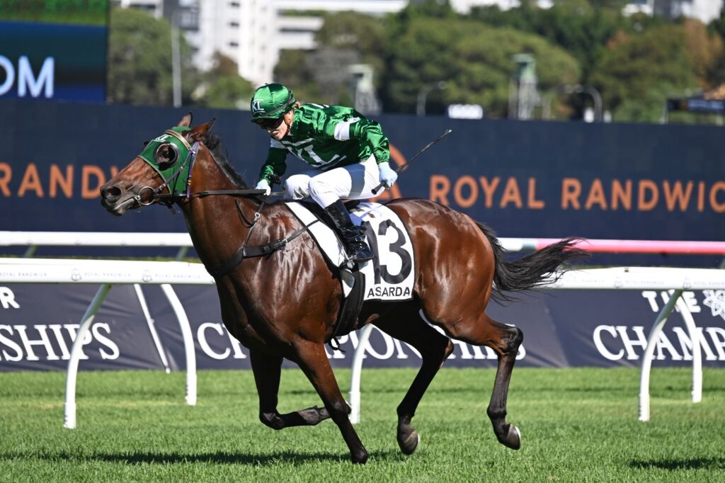 Asgarda 0604024 21171 | Just Horse Racing