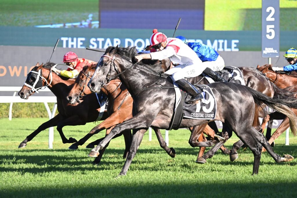 Celestial Legend 0604024 31061 | Just Horse Racing