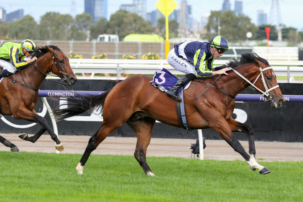 EPIMELES 0V9A1056 | Just Horse Racing