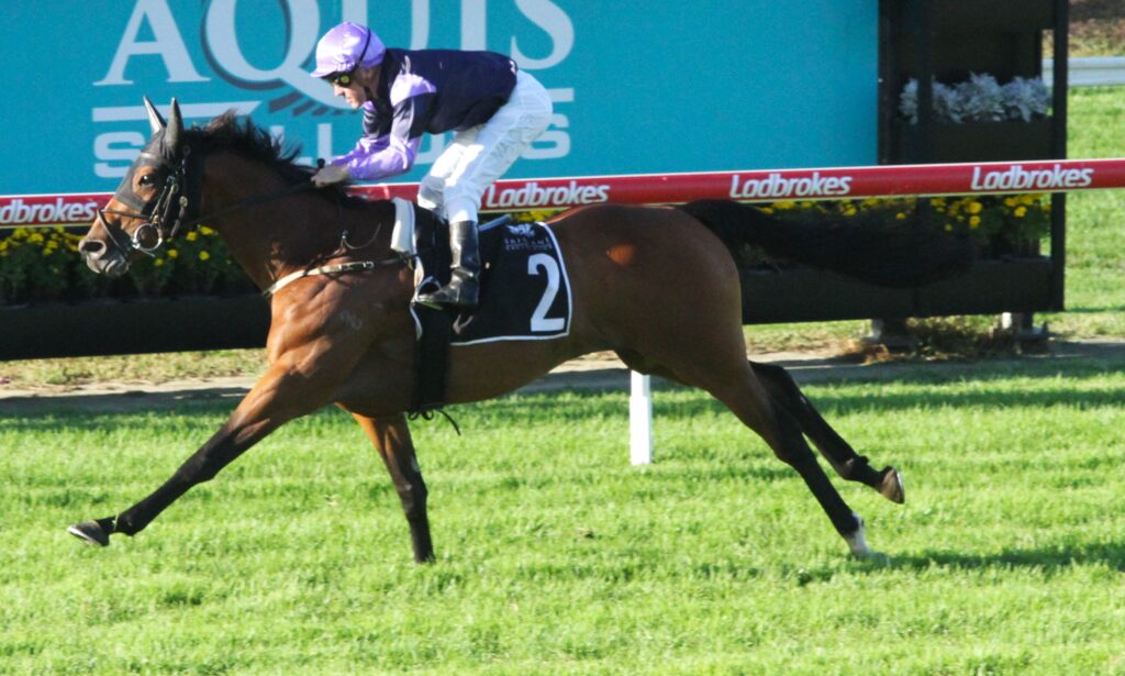 Ef race 8 mighty Ulysses 2 | Just Horse Racing