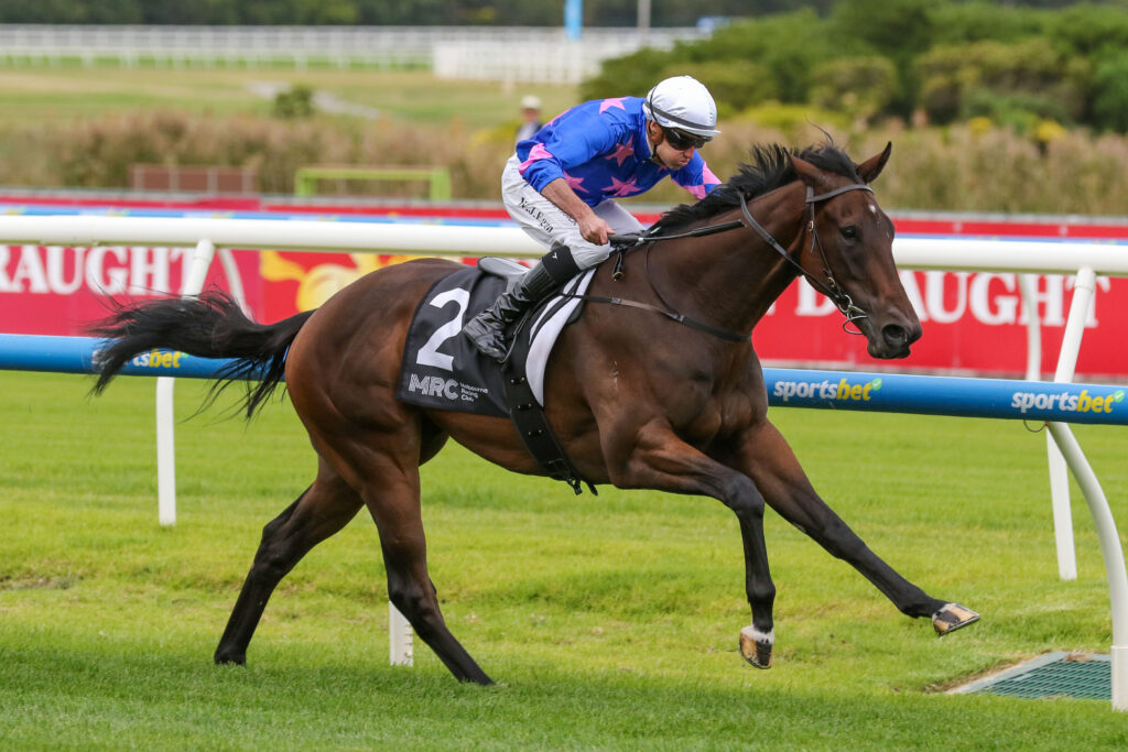 Carbine Club Stakes nominations 2024