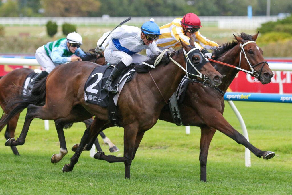 Gold Wolf to chase South Australian Derby glory