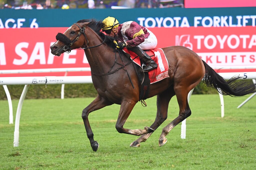 Huetor 2004024 9493 | Just Horse Racing