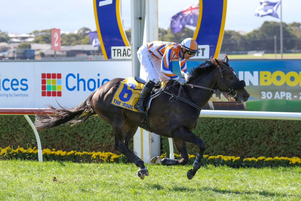 LEADERBOARD (6) | Just Horse Racing